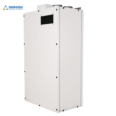 Commercial EC Fan Two Speeds Control Desiccant Commercial Air Conditioner Humidifier Dehumidifier